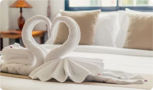 Romance e Encanto em Ponte de Lima